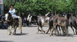 web-desfile-caballo-4